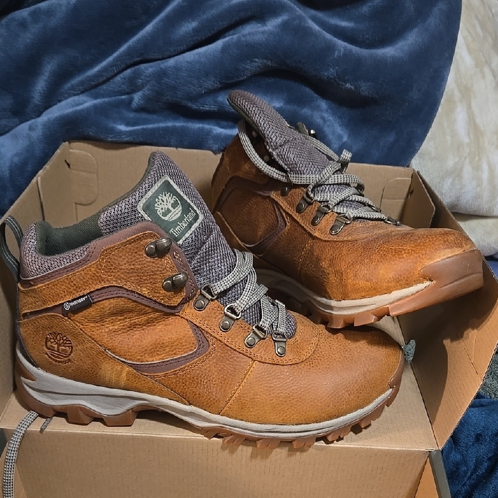 Timberland Men's Brown Hiking Boots